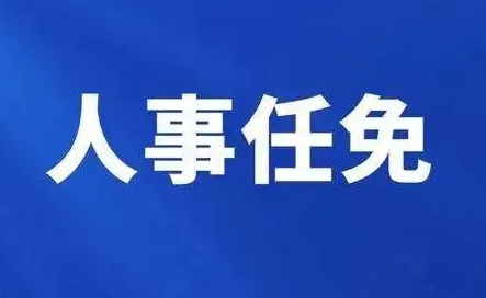 關于利騰達公司總經理任命決定